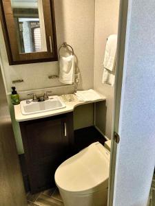La petite salle de bains est pourvue de toilettes et d'un lavabo. dans l'établissement 海空リゾートうみのいえ, à Yomitan