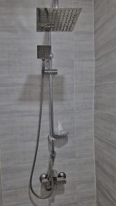 y baño con ducha y cabezal de ducha. en Hotel Georgian Memory en Kutaisi