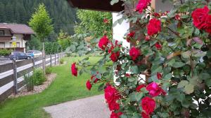 Zahrada ubytování Gartenhaus Zur Kröllin