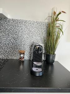 a black counter with a hair dryer and a plant at Nyibaer studio apartment in Selfoss