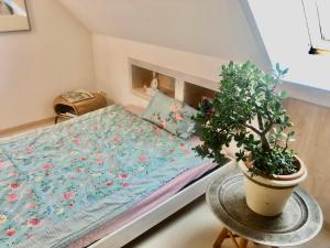 um pequeno quarto com uma cama e um vaso de plantas em Rast und Ruhe em Wechingen