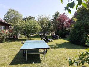a ping pong table in the middle of a yard at Terrassenwohnung Wangerooge in Hooksiel +33 photos