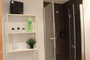 a bathroom with a shower with a bottle of soap and plants at Oasis Pirineos in Formigal