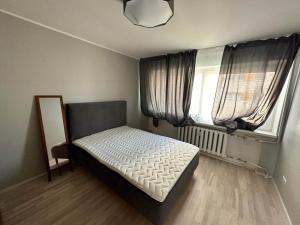 a bedroom with a bed and a mirror and a window at Tihase Vindi Accommodation in Tallinn