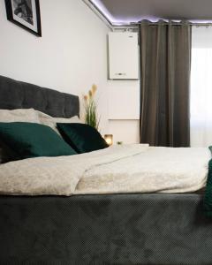 Un dormitorio con una cama con almohadas verdes y una ventana en Best Studio Central, en Hunedoara