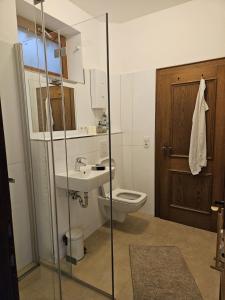 een badkamer met een toilet en een wastafel bij Ferienhaus Birnberg in Leogang