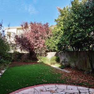 a backyard with a fence and a yard with green grass at Fancy SF Suite, Prime Location, Near Fishermans Wharf, SF Bay and Financial District in San Francisco