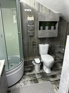 uma casa de banho com um WC e um chuveiro em Magic house em Karagayly