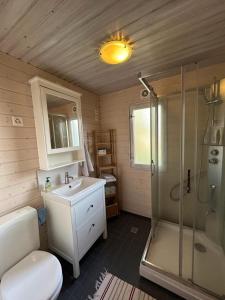 a bathroom with a toilet and a shower and a sink at Porkka COSY & QUIET chalet 8 pers in Vex