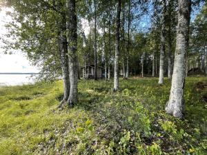 a cabin in the woods with trees and grass at Lakeside Lodge Norvis in Rovaniemi