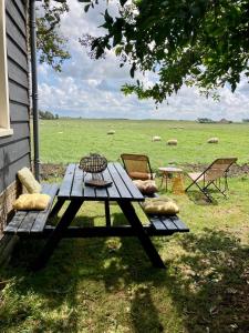 uma mesa de piquenique com duas cadeiras e um campo de ovelhas em De hoftuin Ilpendam appartement em Ilpendam
