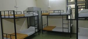 Palanda nebo palandy na pokoji v ubytování Kritika Accoommdates P G