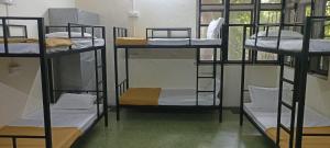 Palanda nebo palandy na pokoji v ubytování Kritika Accoommdates P G