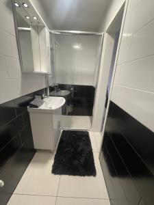 Baño pequeño con lavabo y espejo en Apartments Park Vodice - Ljubljana, Krvavec, en Woditz