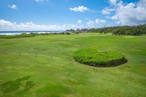 ein großes grünes Feld mit einer Hecke in der Mitte in der Unterkunft OUTRIGGER Kaua'i Beach Resort & Spa in Lihue