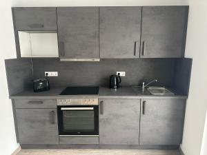 a kitchen with a sink and a stove and cabinets at Neckar-Apart in Heilbronn