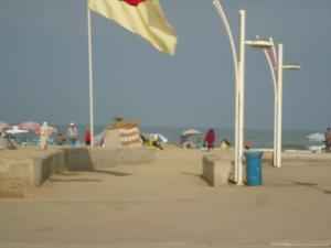 Spiaggia vicina o nei dintorni dell'appartamento