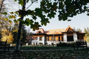 Vườn quanh Villa Bellini Borszék