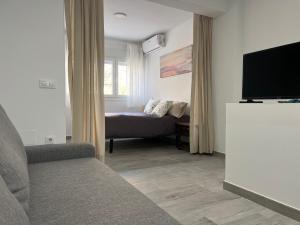 Apartamentos para 10 personas en Barrio del Pilar في مدريد: غرفة معيشة مع أريكة وتلفزيون بشاشة مسطحة