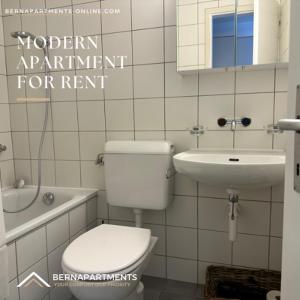 La salle de bains est pourvue de toilettes et d'un lavabo. dans l'établissement Charmantes Apartment, à Berne