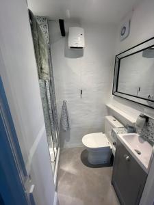 a bathroom with a toilet and a sink and a mirror at The Dog House, Mere in Mere