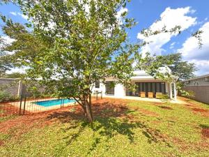 un árbol en un patio junto a una piscina en Narina Villa en Victoria Falls