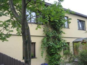 a building with ivy growing on the side of it at Guest House Maija in Ventspils
