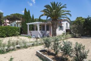 a palm tree in front of a white house at Hotel Delfino in Procchio