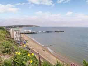 a view of a beach with a pier in the water at 2 Bed in Sandown 89291 in Sandown