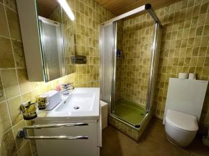 La salle de bains est pourvue d'un lavabo, d'une douche et de toilettes. dans l'établissement Chalet Maithili Lauterbrunnen -152-Year-Old Majestic Chalet, à Lauterbrunnen