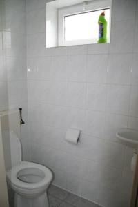 a white bathroom with a toilet and a window at De Vlier 23 in Nieuwvliet +22 photos