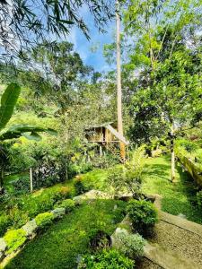 un jardín con una casa en el medio en Arcadea Eco Lodge, 
