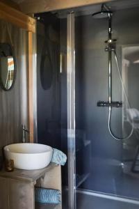 a bathroom with a shower with a sink and a tub at Landrijk De Reesprong boerderij in Haaksbergen