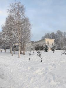 Villa Snowflower v zimě