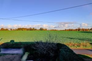 - une vue sur un champ d'herbe planté de brousse dans l'établissement Country View Cottage, à Halvergate