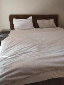 HOTEL CASTLE HOME STAY في جايبور: سرير ابيض كبير عليه وسادتين