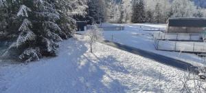 a snow covered field with trees and a building at Idyllic Retreat Next to an Elven Forest in Gozd Martuljek