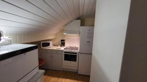 Η κουζίνα ή μικρή κουζίνα στο Apt. 301 - Andenes Whale Safari Apartments