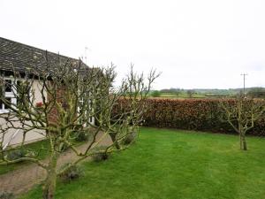 a garden with two trees and a hedge at 2 Bed in Stratford-upon-Avon CC025 in Ilmington