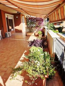 eine Terrasse mit einem Haufen Pflanzen und einem Zaun in der Unterkunft Roma e Castelli Romani. in Rom