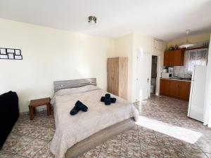 een slaapkamer met een bed en een keuken bij Nitsa Apartment in Kavala