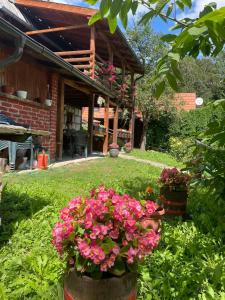 a garden with pink flowers in front of a house at Dedina kuća 1937 in Mokra Gora