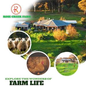 Rose Creek Farm Stay, Williams