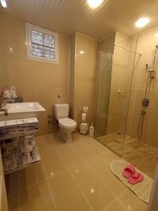 y baño con aseo, ducha y lavamanos. en Emniyet Sokak Apartment, en Alanya