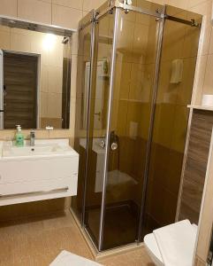 een badkamer met een douche en een wastafel bij Hotel Comfort & Villas in Donji Štoj