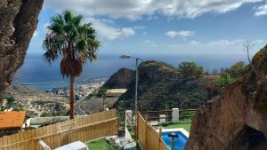 una palmera y vistas al océano en Nueva Casa rural piscina privada en Santa Cruz de Tenerife