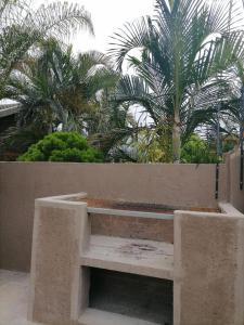 a bench in front of a wall with palm trees at Tshamani self catering in Hazyview