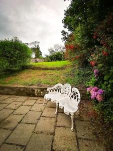 three white benches sitting on a patio with flowers at Orchard Cottage in Dingle
