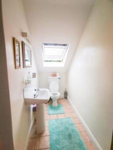 a bathroom with a sink and a toilet with a skylight at Orchard Cottage in Dingle