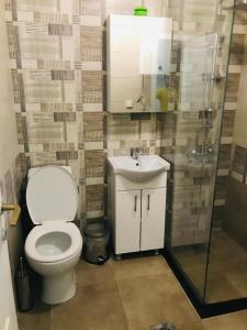 a bathroom with a toilet and a sink and a shower at Ohrid Strict Center Apartment in Ohrid